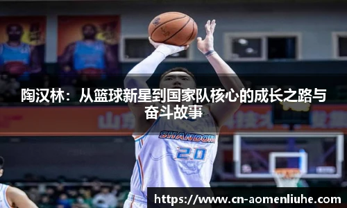 陶汉林:从篮球新星到国家队核心的成长之路与奋斗故事